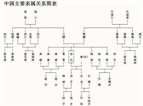 親戚樹狀圖|親屬關係圖工具